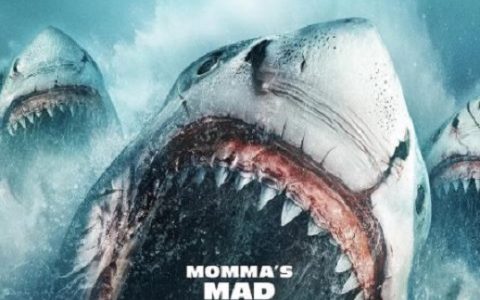 2023年美国惊悚片《疯狂巨齿鲨》1080P中英双字