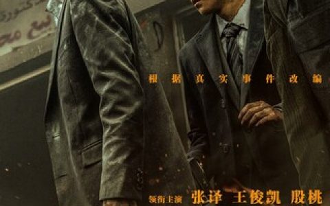 2022年张译,王俊凯7.4分战争剧情片《万里归途》4K高清国语中字