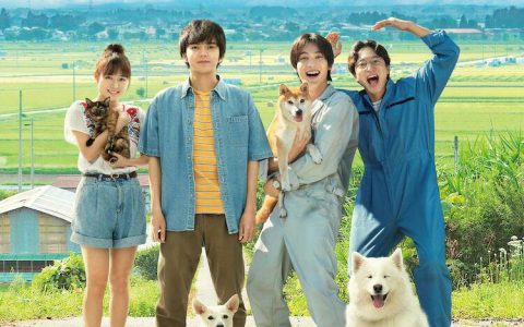 2021年日本6.6分剧情片《犬部！/浪浪好朋友》1080P日语中字
