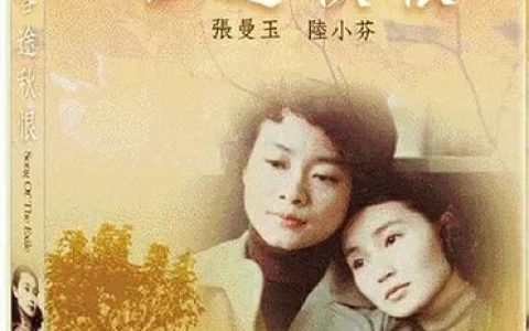 1990年陆小芬,张曼玉8.5分剧情片《客途秋恨》1080P国粤双语