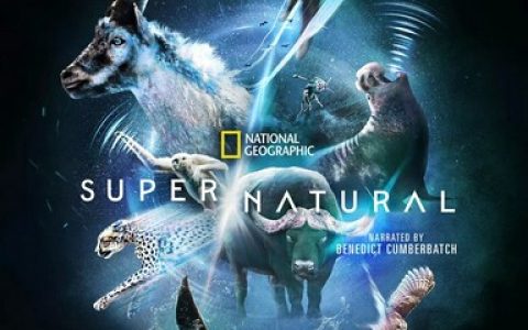 2022年美国纪录片《超/自然/超级自然》全6集