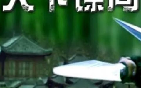 2007年周群达,吴晓敏7.1分武侠片《镖行天下之天下镖局》1080P国语中字