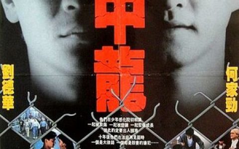1990年刘德华,何家劲,黎姿7.0分动作片《狱中龙》1080P国粤双语