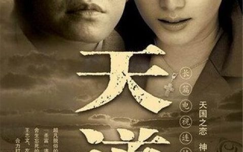 2008年王志文,左小青9.2分电视剧《天道》全集4K高清