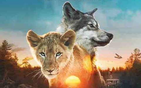 2021年欧美6.8分家庭冒险片《狼与狮子》1080P法语中字