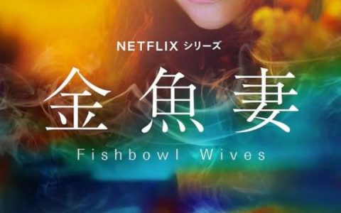 2022年日本电视剧《金鱼妻》全8集