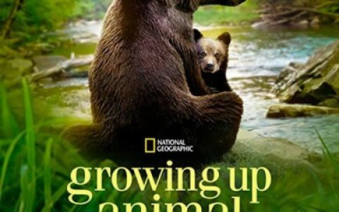 2021年美国纪录片《动物成长》1080P英语中字